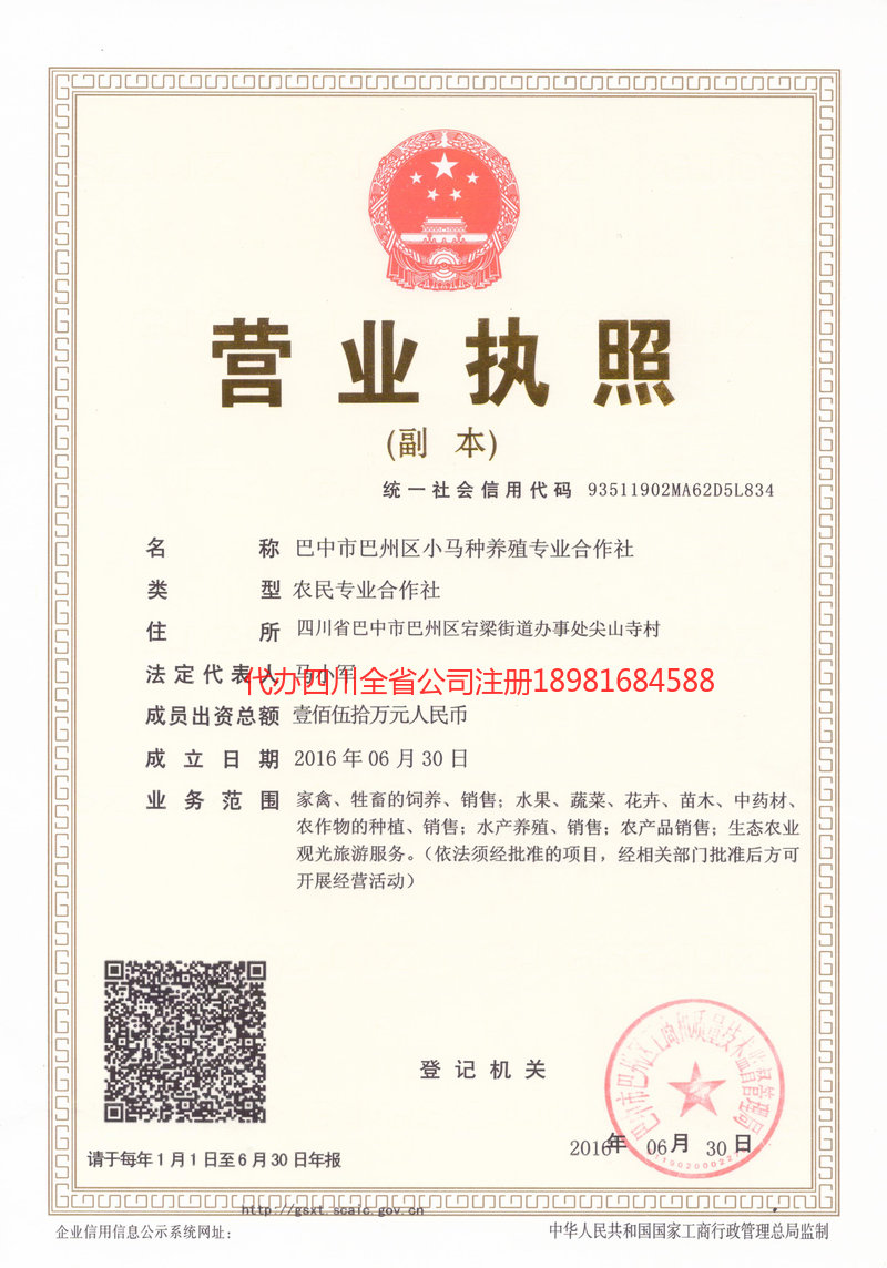 陆丰陆丰小马种养殖专业合作社